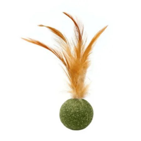 Cat Lolliponip