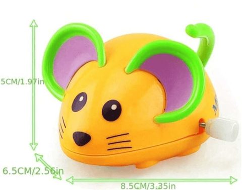 Cat Ratinho Animado