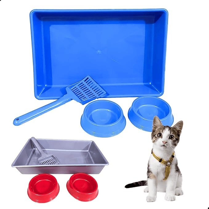 Comedouro Kit Gato Bandeja 2 Comedores Inclinado Rosa