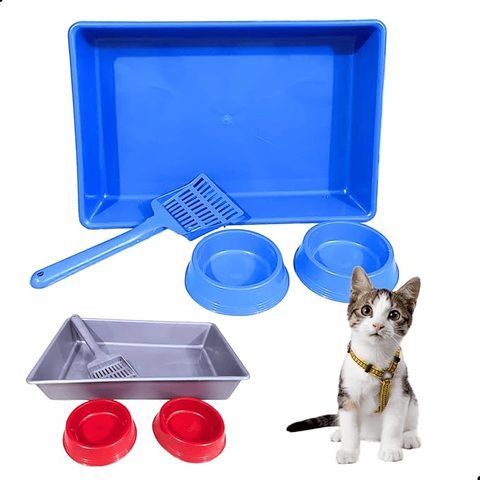 Comedouro Kit Gato Bandeja 2 Comedores Inclinado Rosa