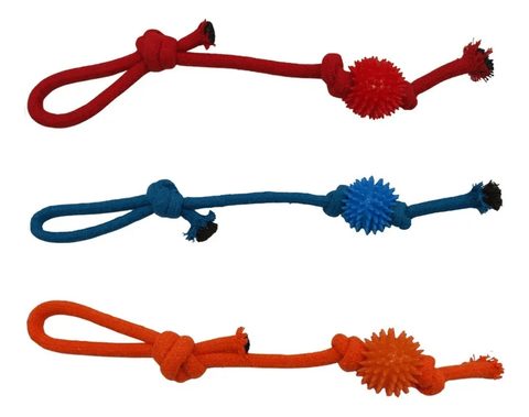 Dog Corda Urchin