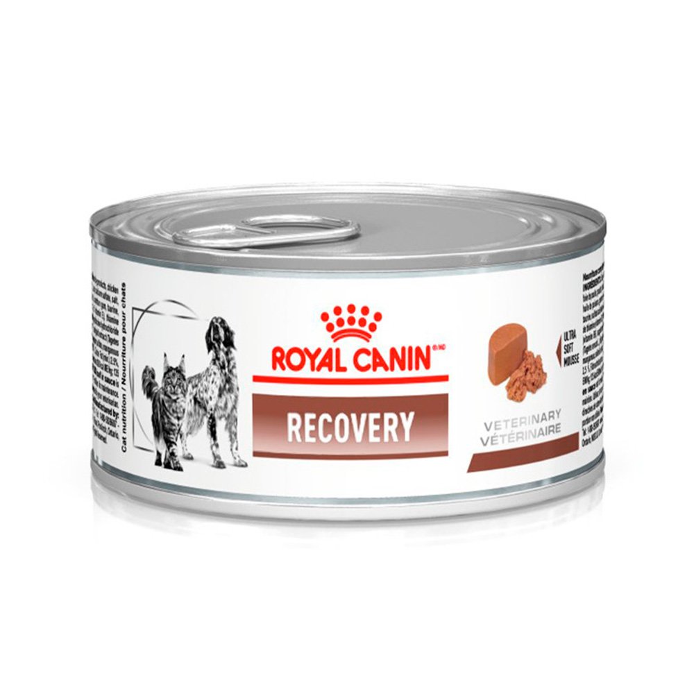 ROYAL CANIN Ração Lata Canino E Felino Recovery Wet 195G
