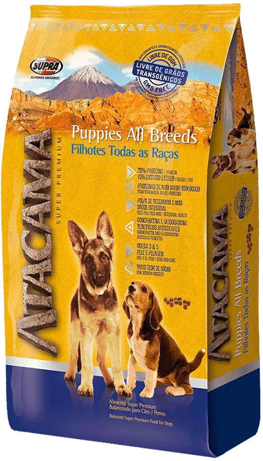 Atacama Cães Filhotes 14 Kg